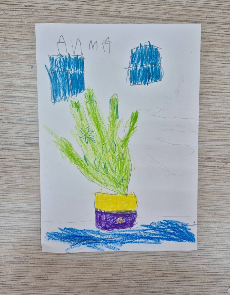 Кактус на окне