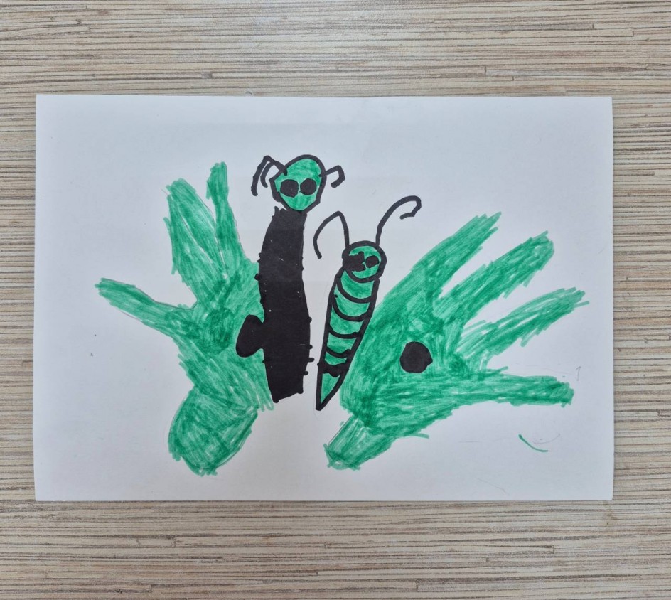 Разговор бабочек