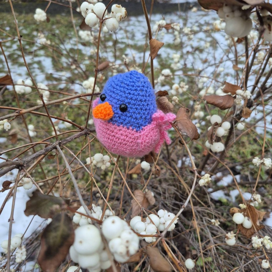 Птичка-невеличка