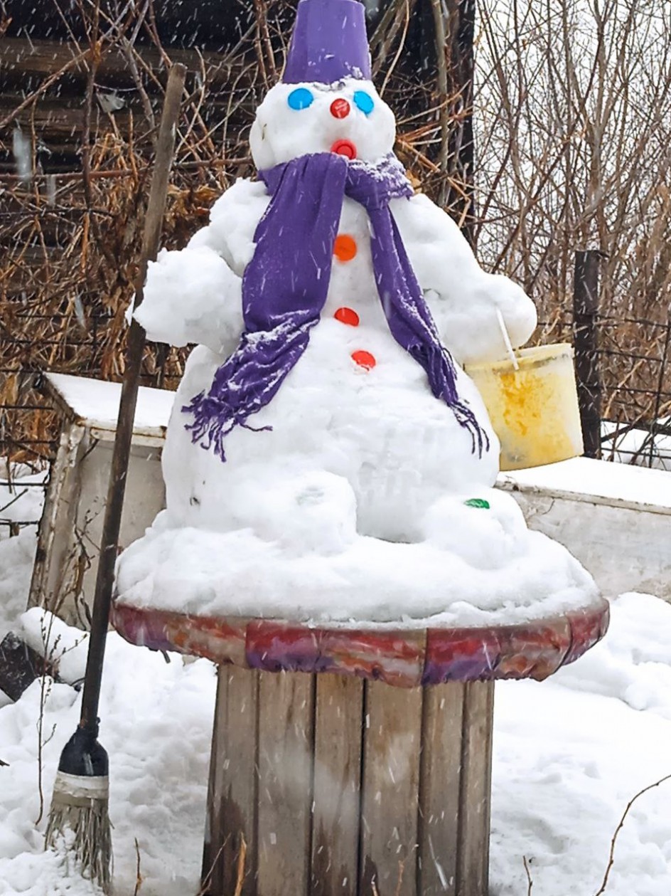 Снежный белый толстячок