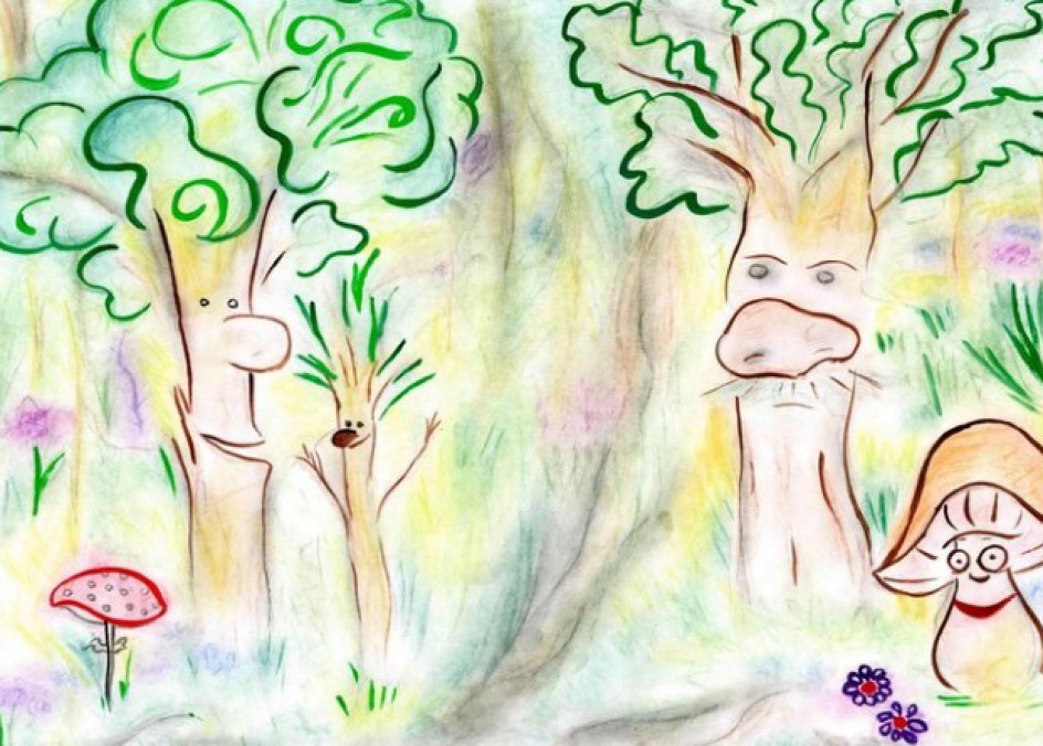 «Лесное волшебство»