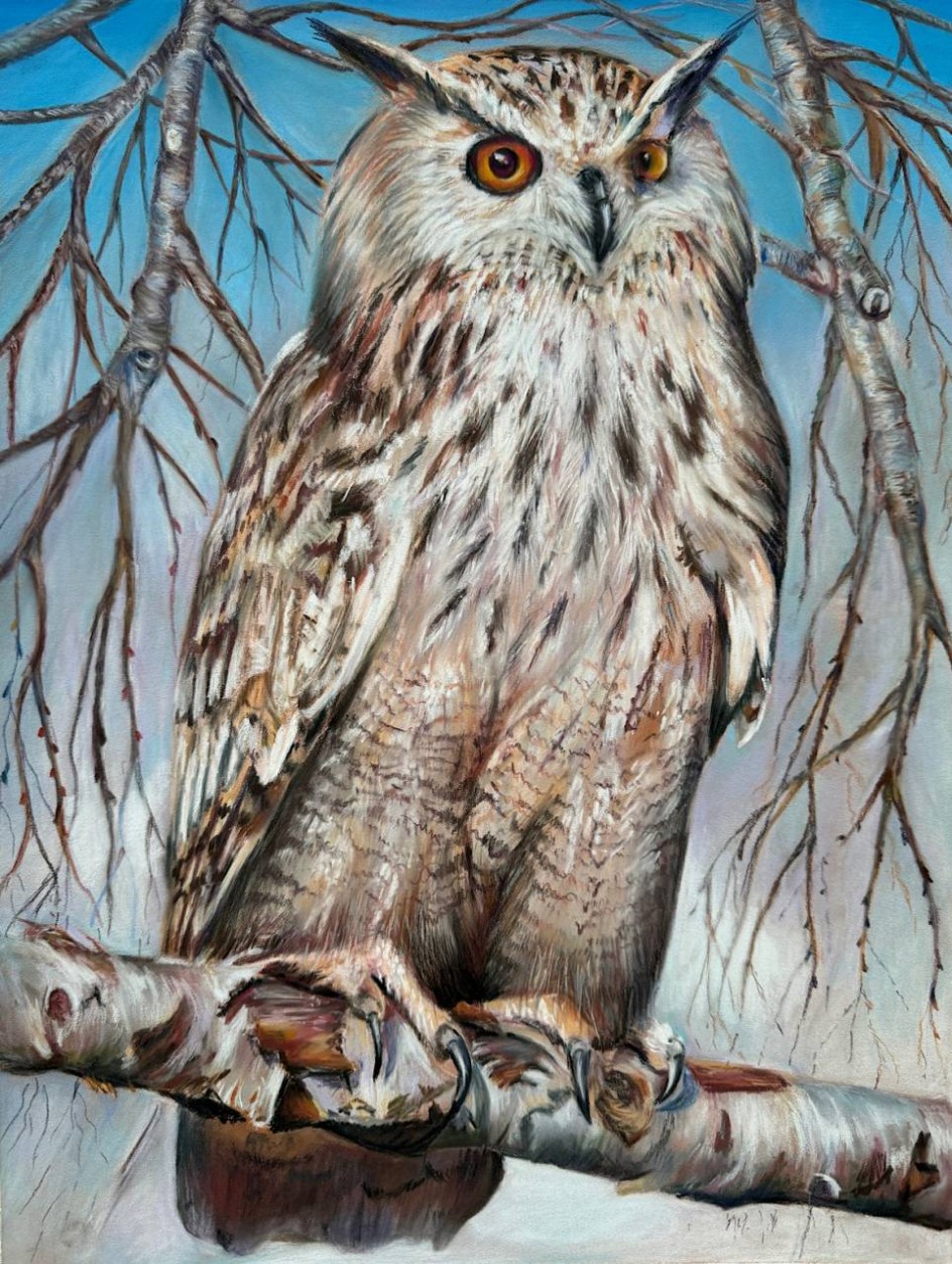 Филин Bubo bubo