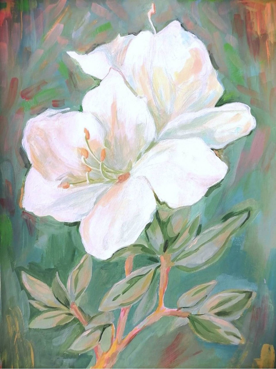 Белые цветы