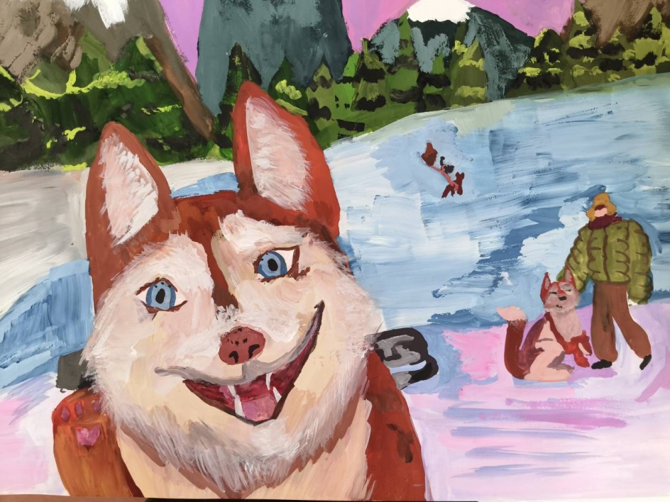 Катание на собаках