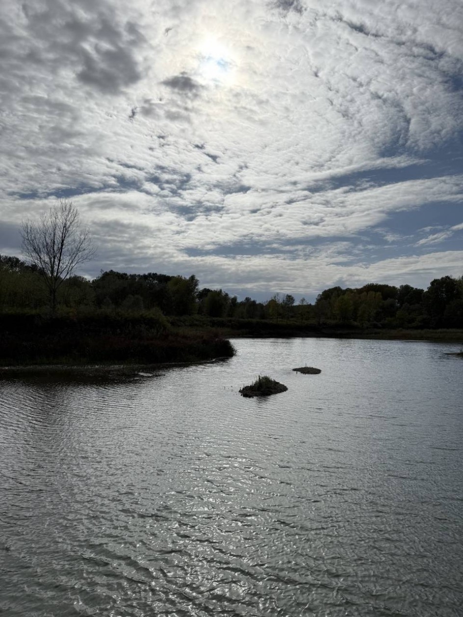 Родной край