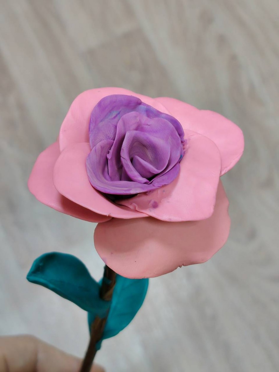 Нежная роза!