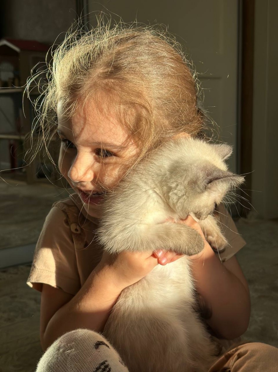 "Счастье по кличке Нэко в ладонях  или Любовь без границ"