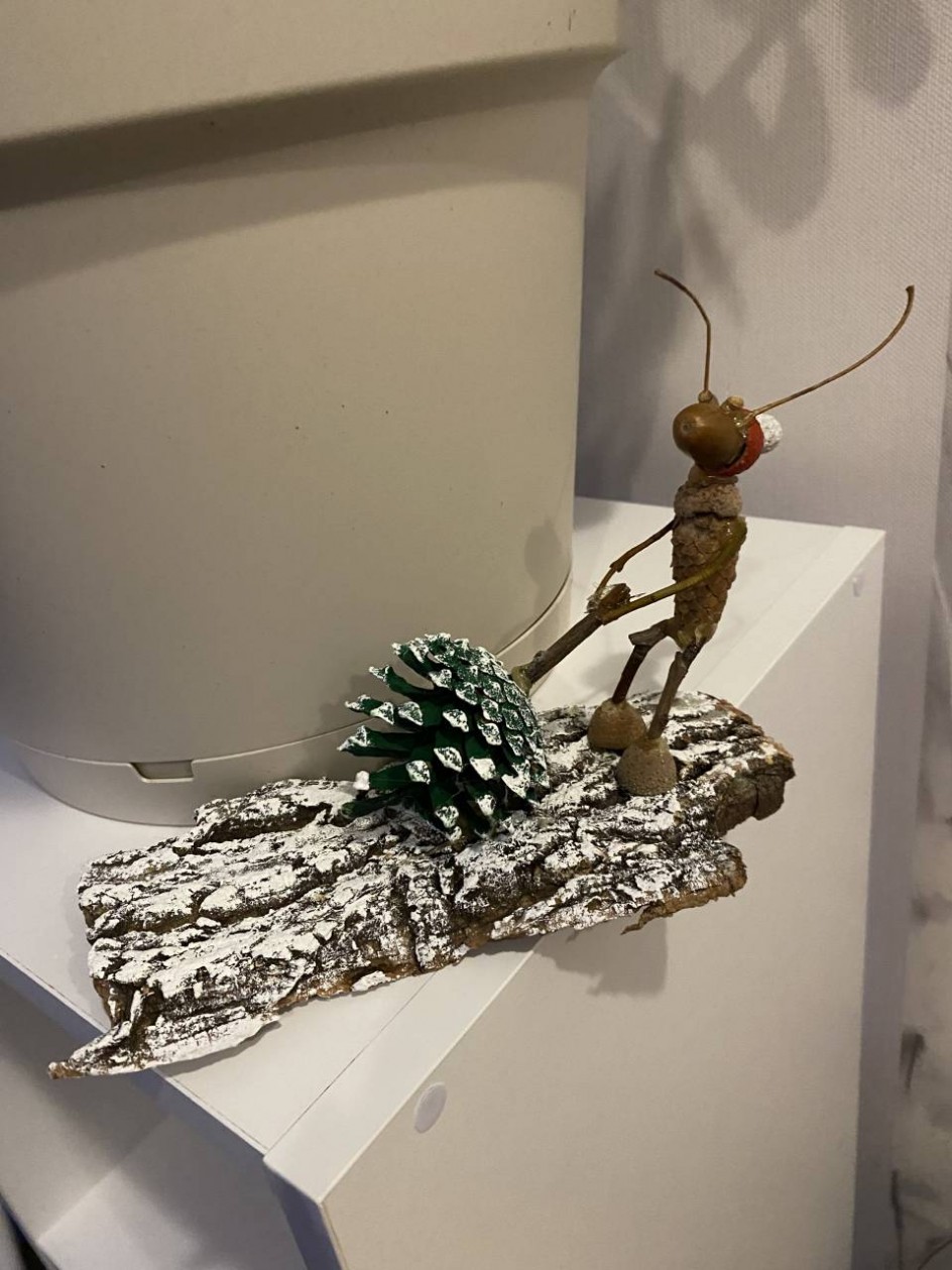 Муравей готовиться к Новому Году