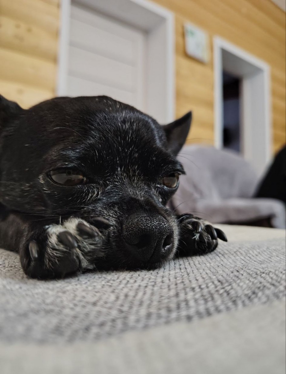 Глаза — зеркало души