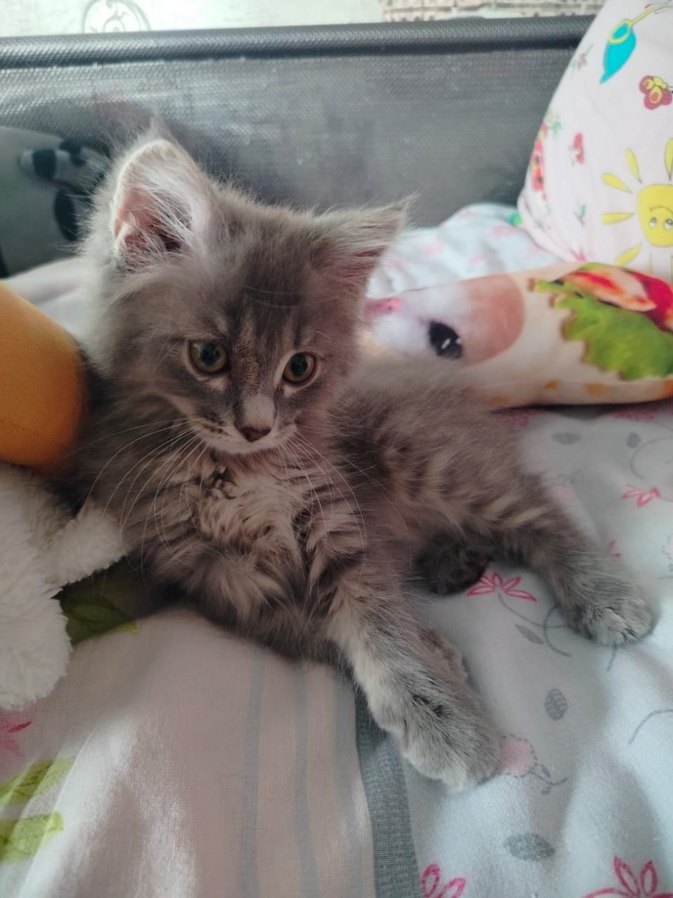 Малыш, который принёс в дом тепло и радость