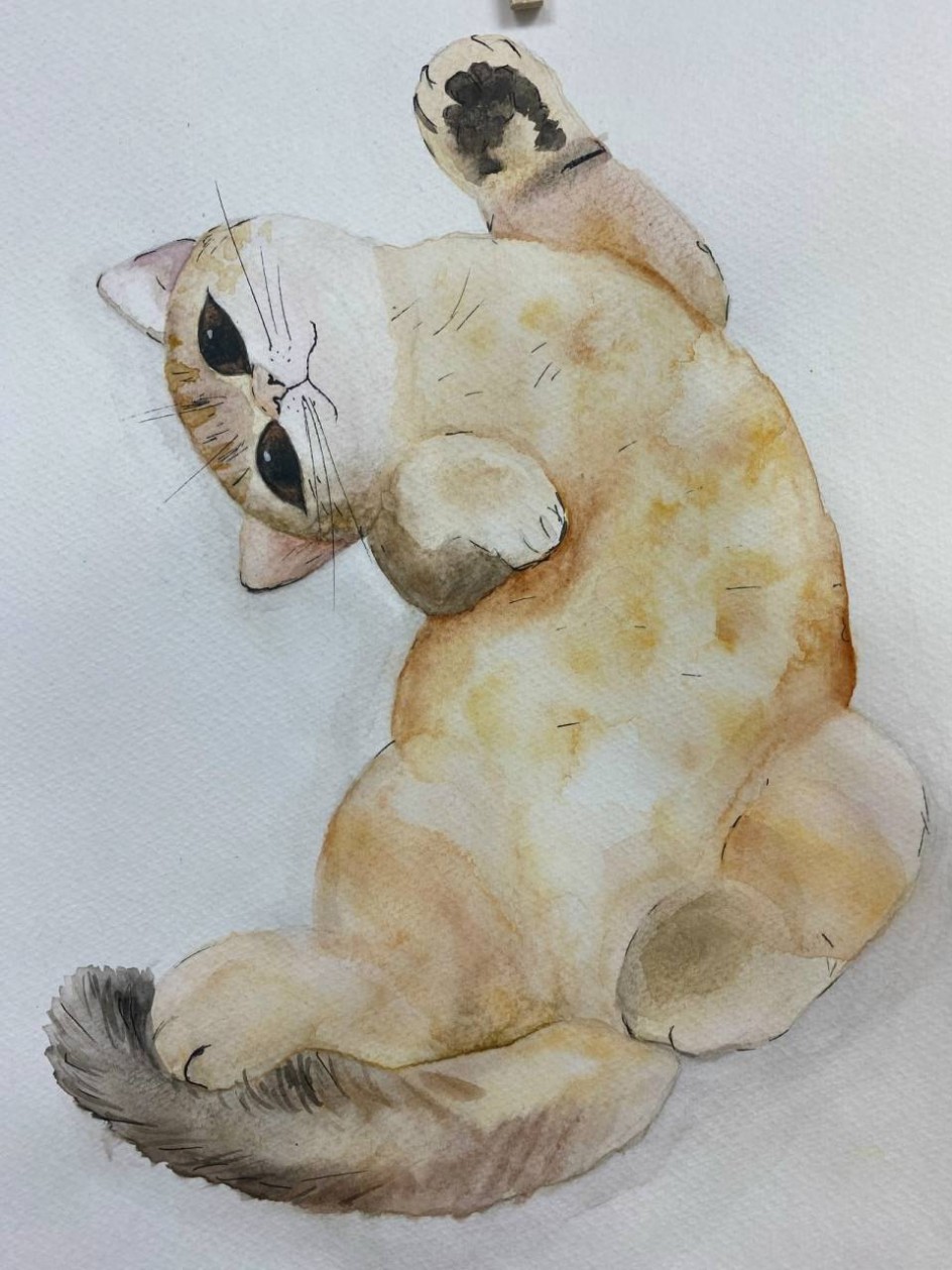 Милый котик