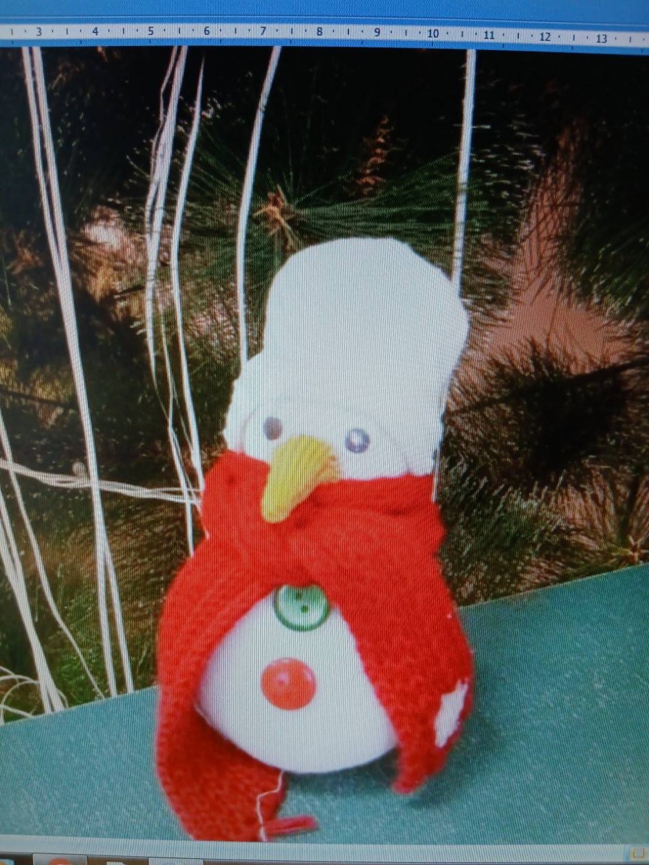 "Зимняя радость"