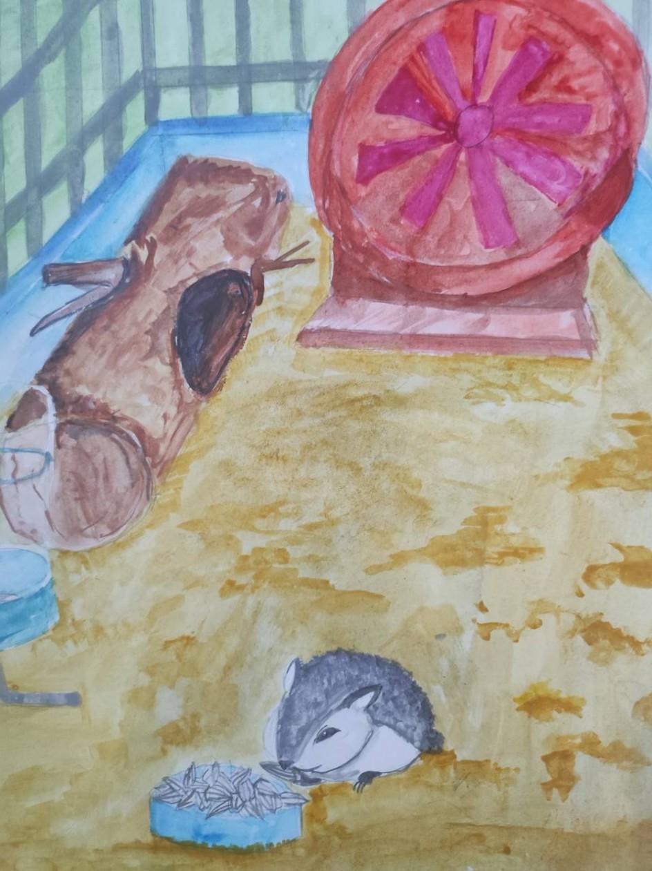 Мой самый любимый питомец.