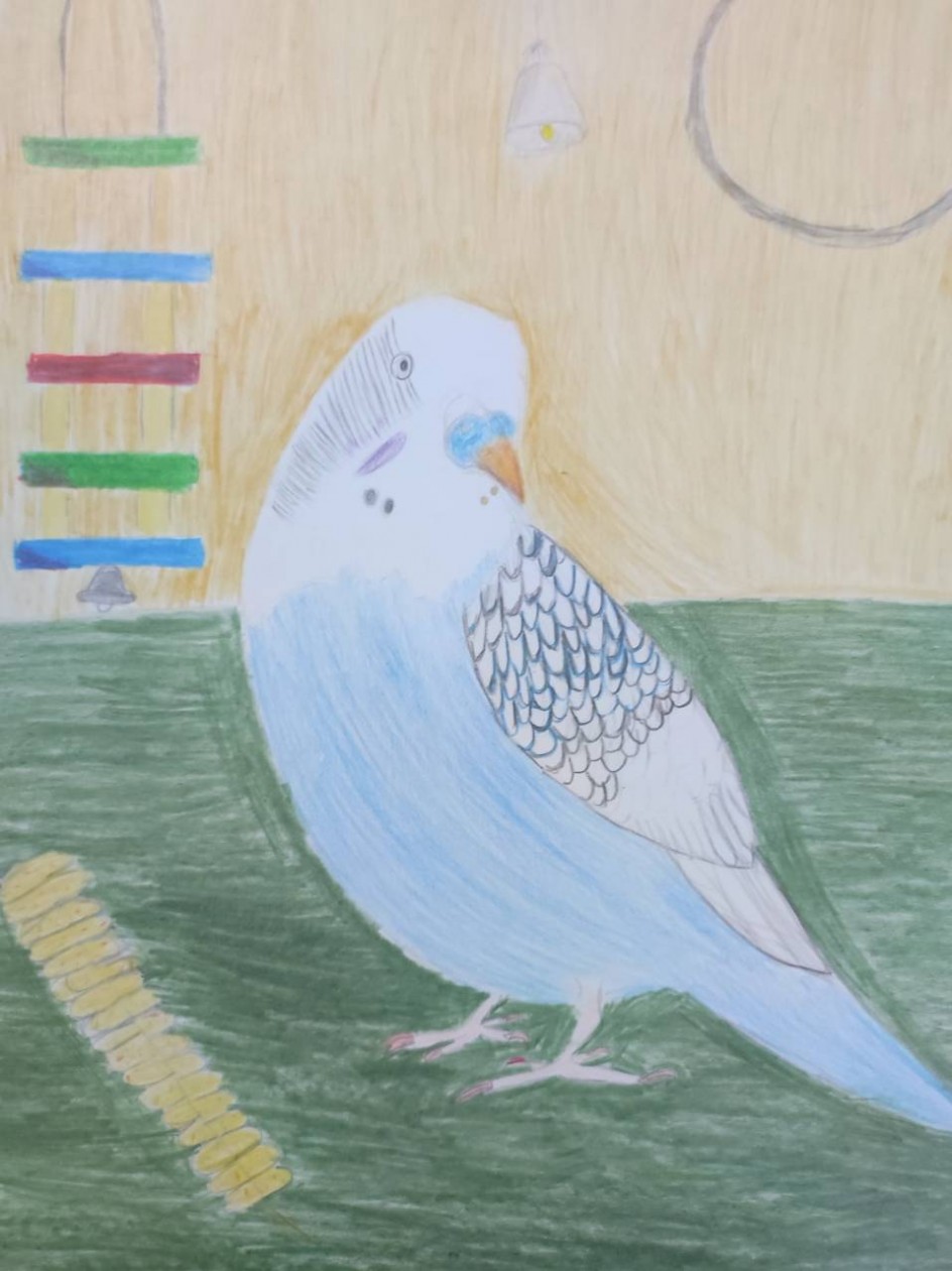 Мой самый любимый питомец.