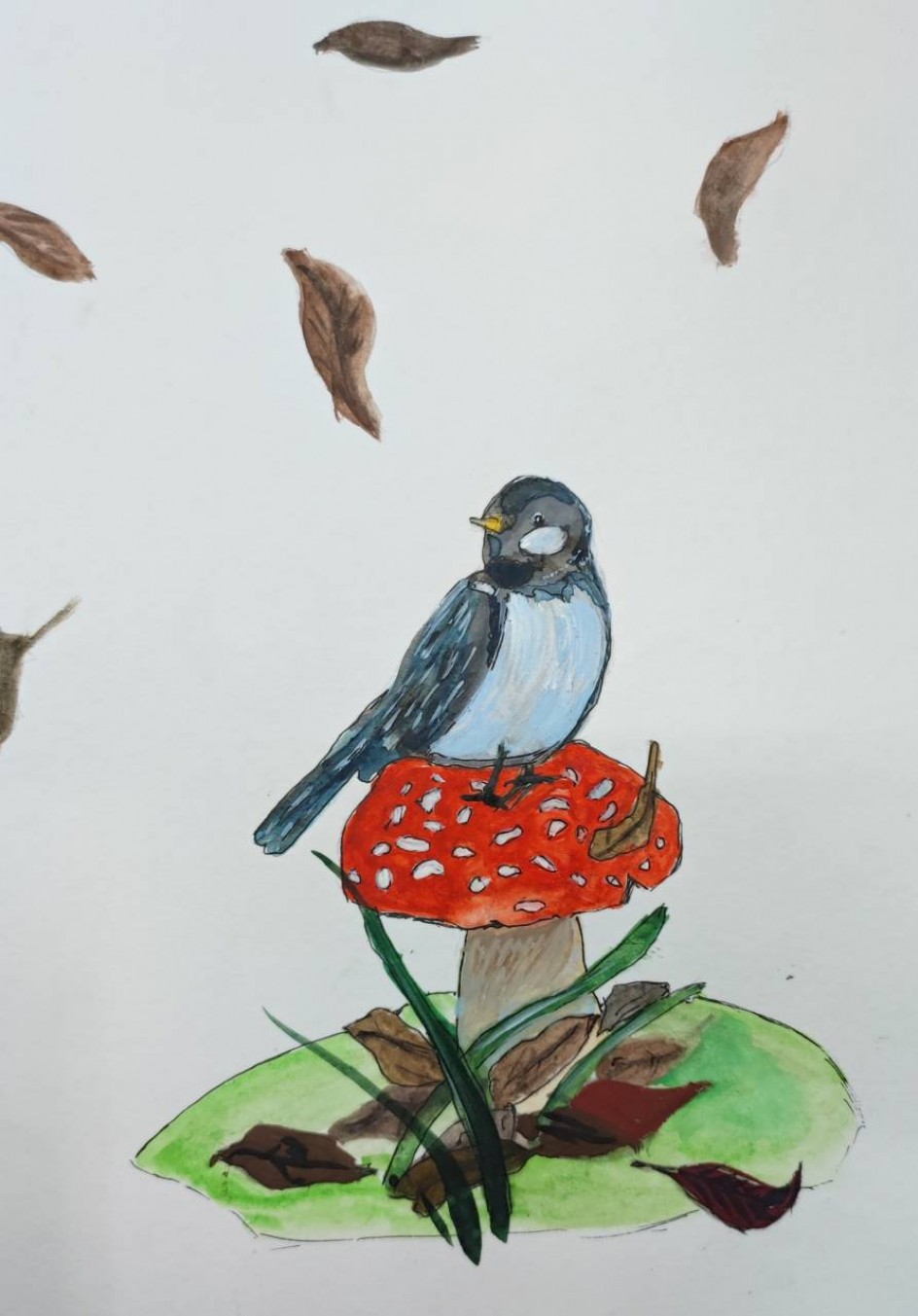 Синицы озорницы и другие  птицы.