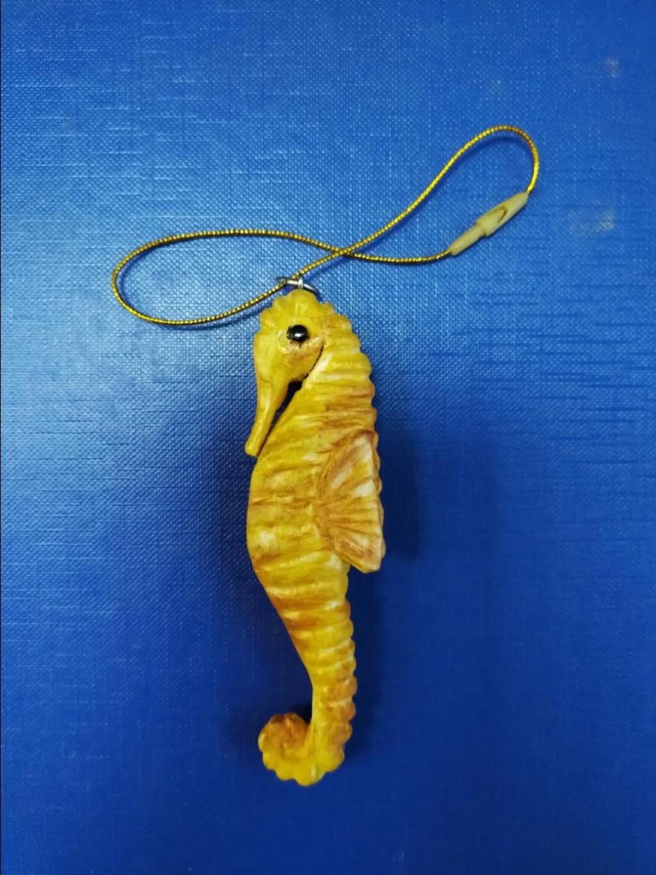 Морской конек