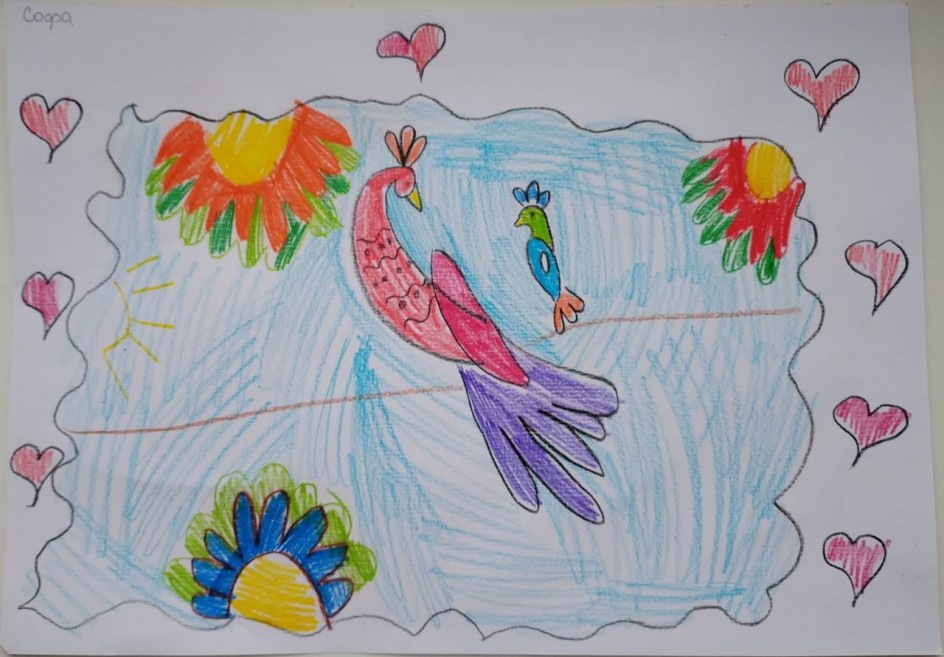 Волшебный мир птиц