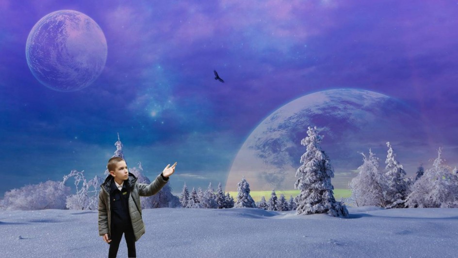 Зимние чудеса с пернатым другом