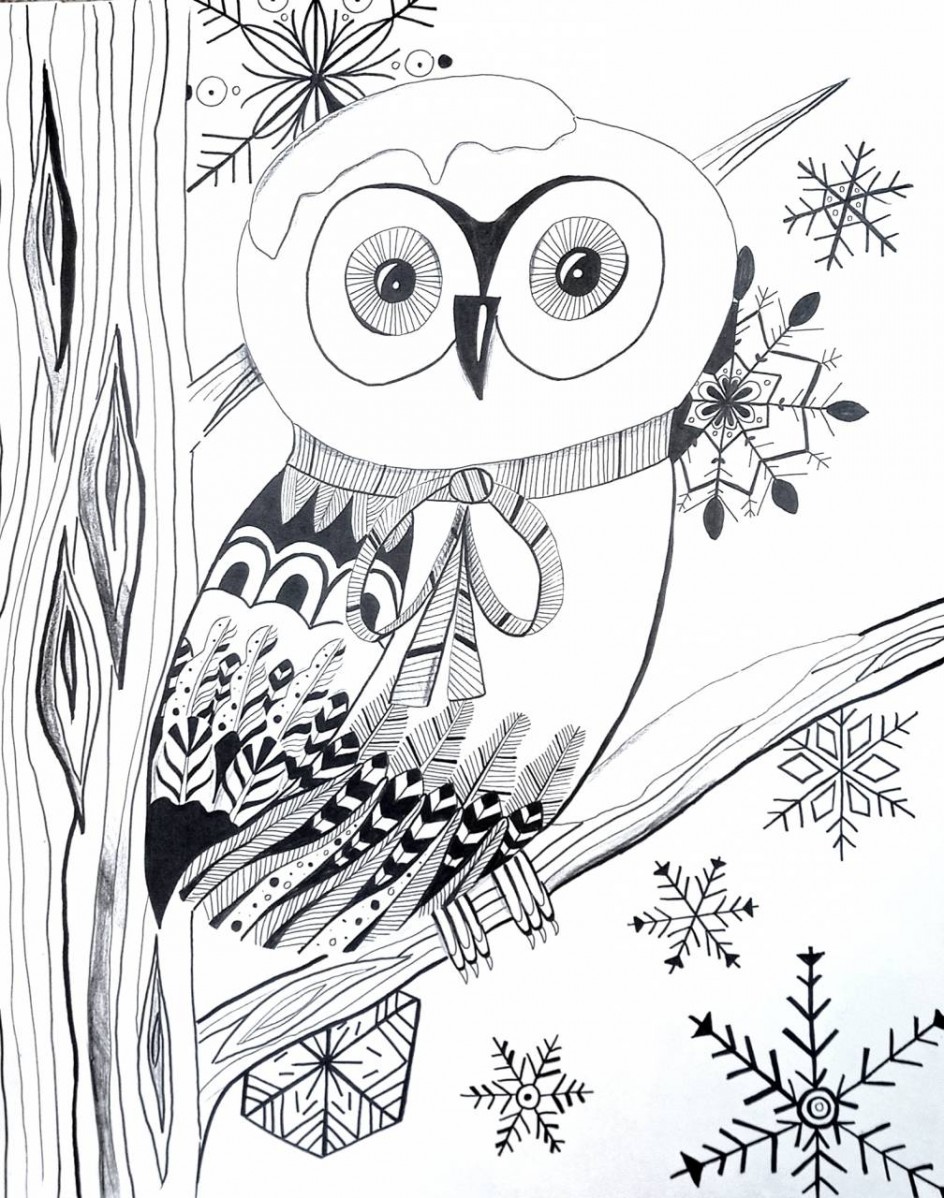 Сова. С первым снегом