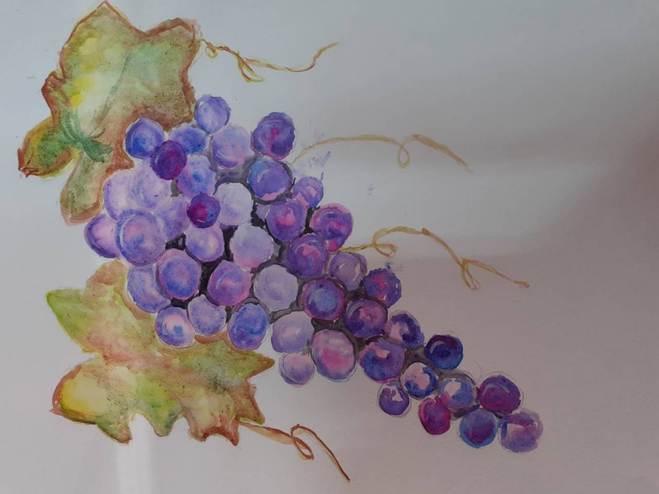 "Виноградная ветка"