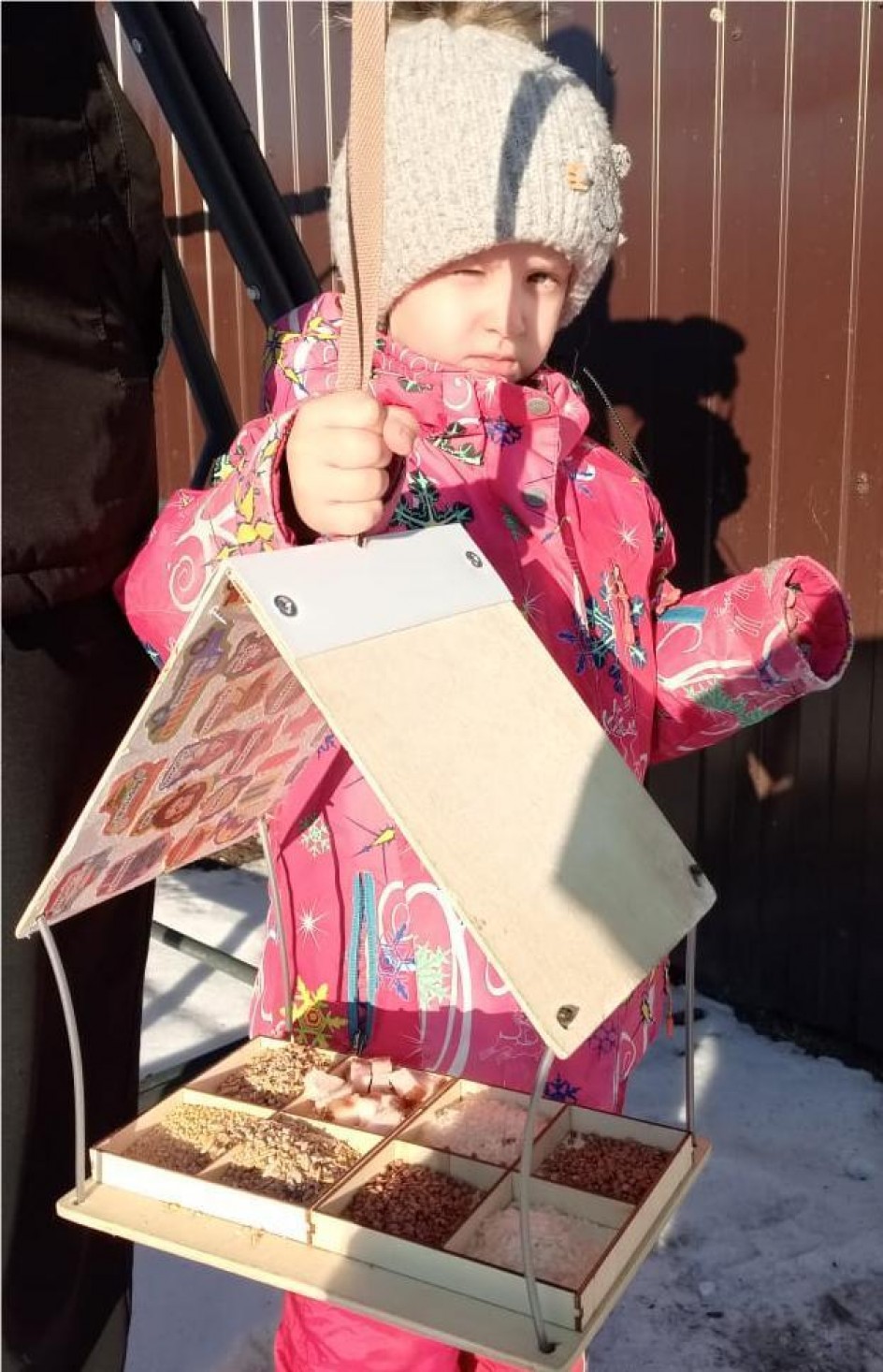 Птичья столовая