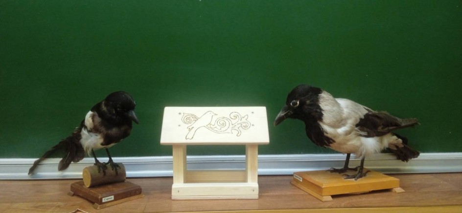 Кормушка для птиц