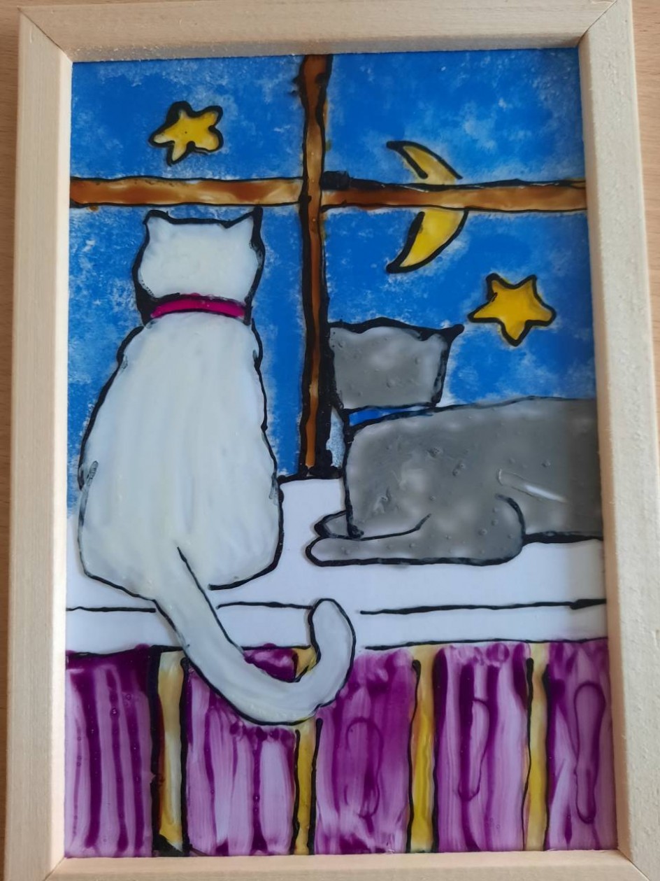 Мои кошечки.