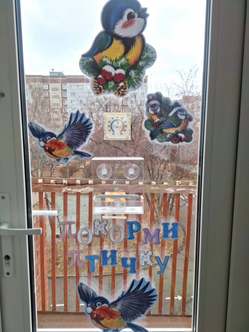 Как мы кормим птиц в детском саду