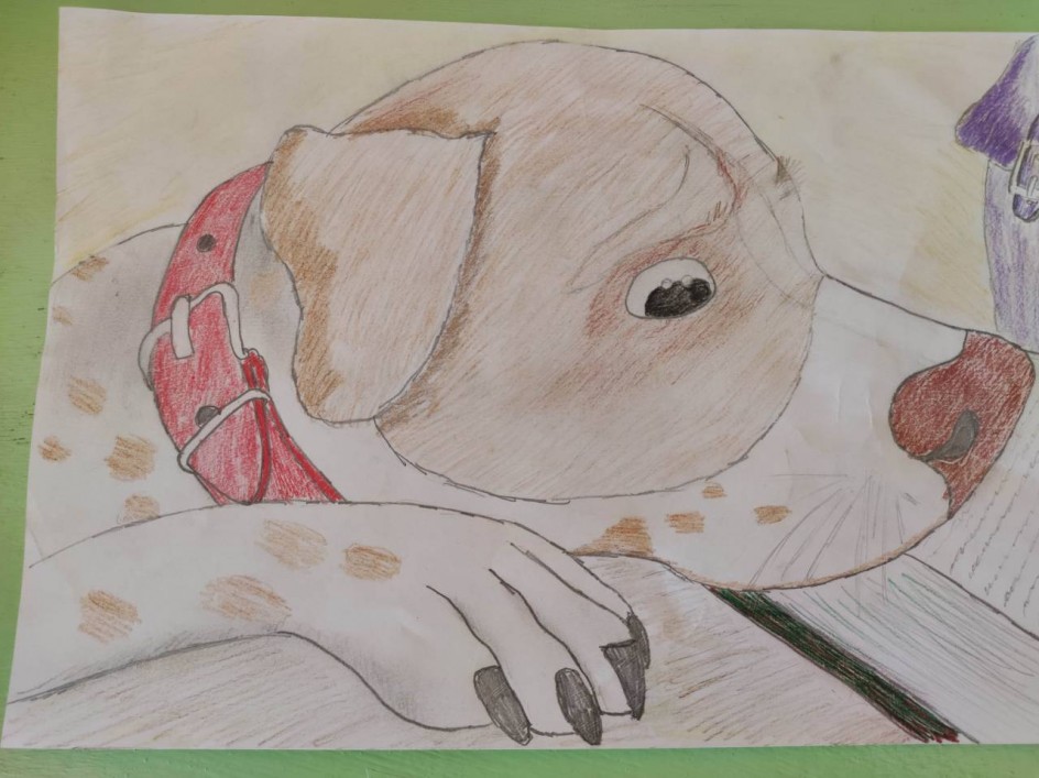 В ожидании хозяина