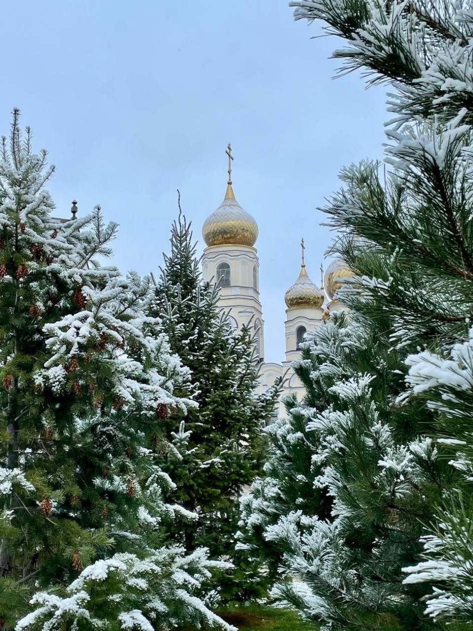 Волшебство первого снега
