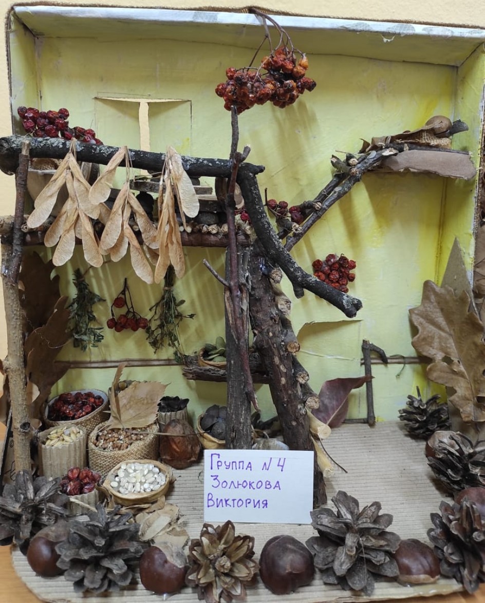 Кладовая белки