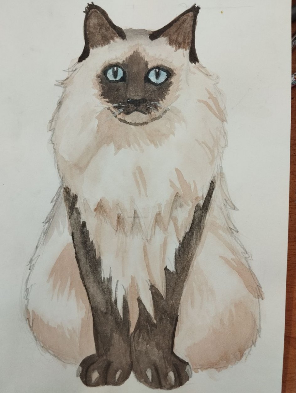 Любимый друг