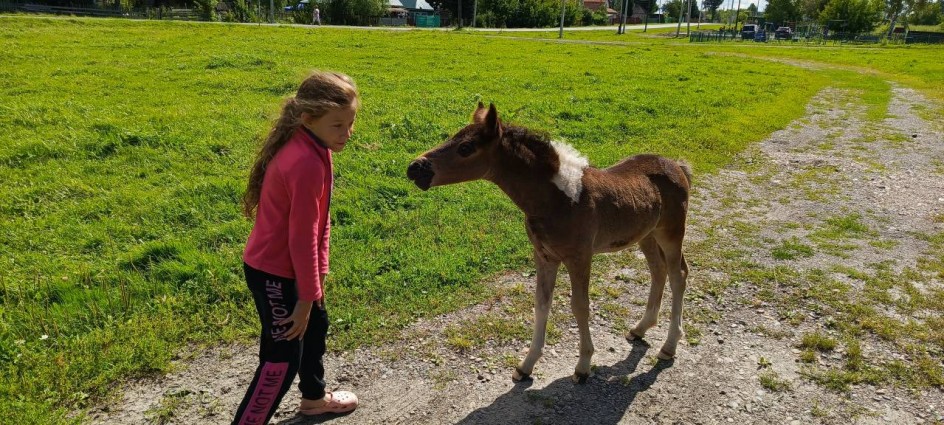 Разговор двух друзей