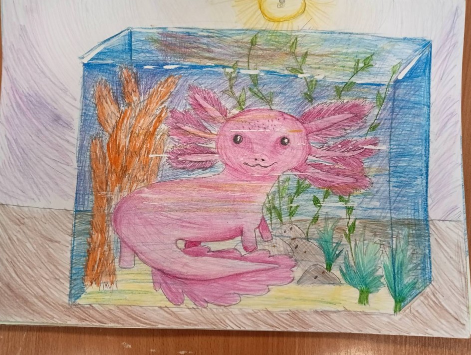 Мой любимчик