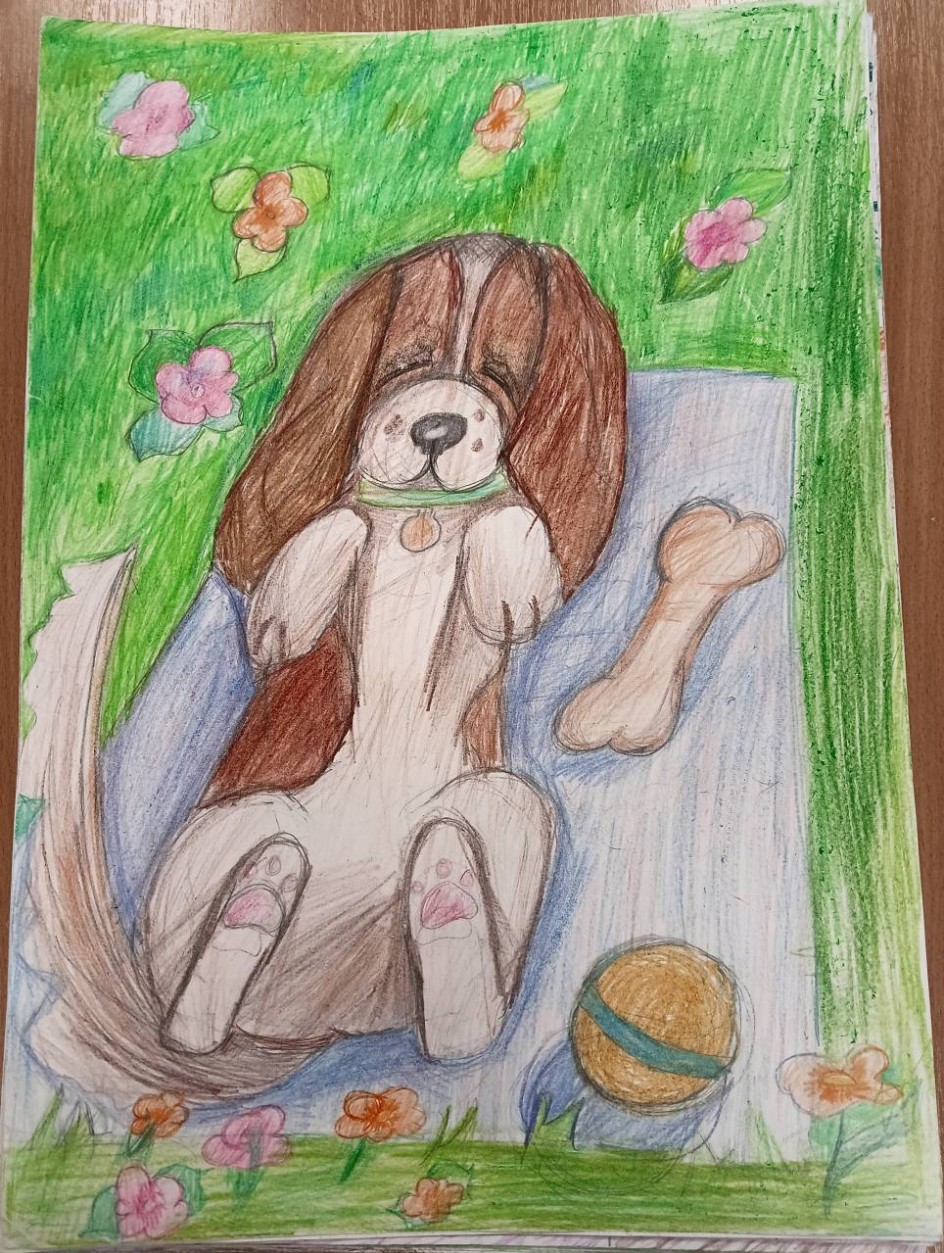 Соня - засоня