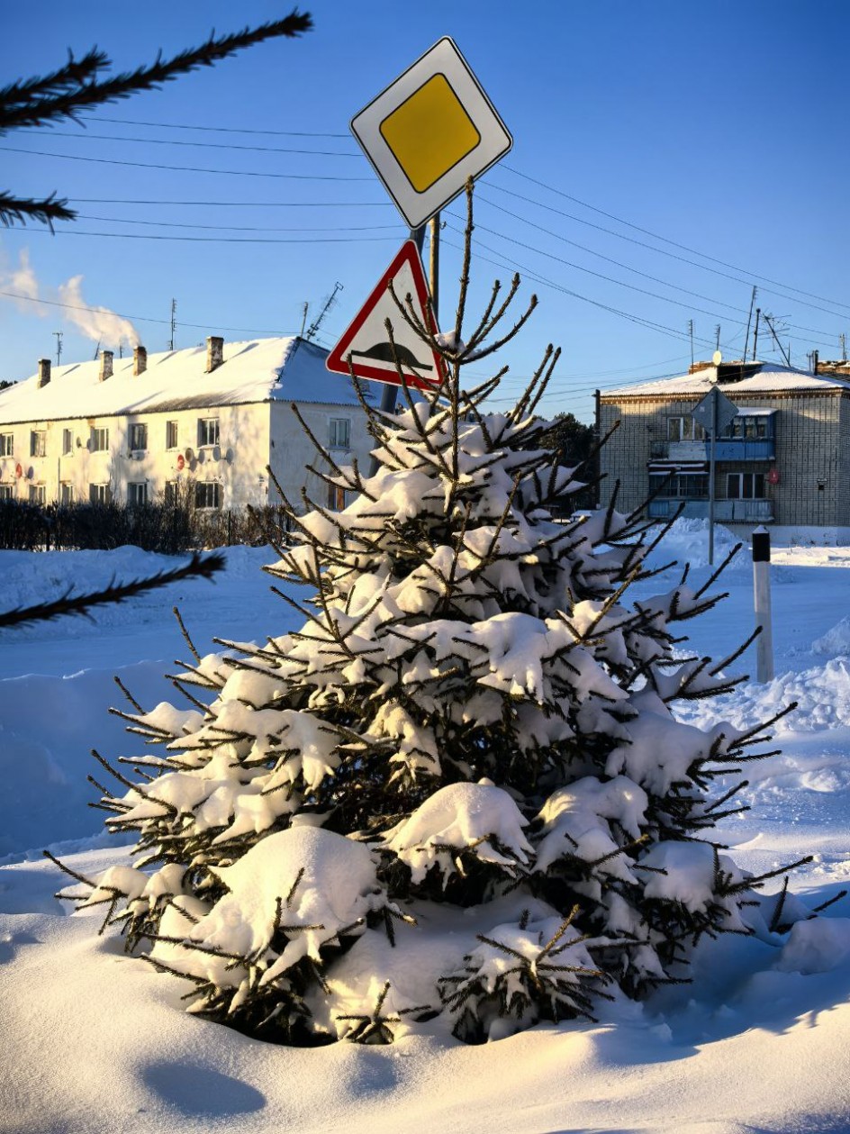 Безопасный Новый год