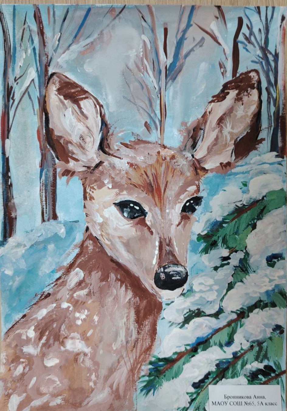 Живая планета