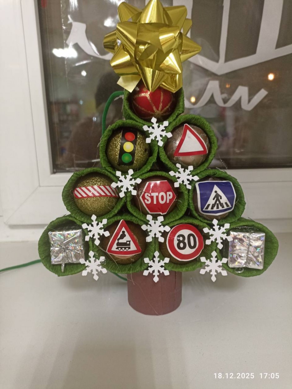 Посланница страны ПДД