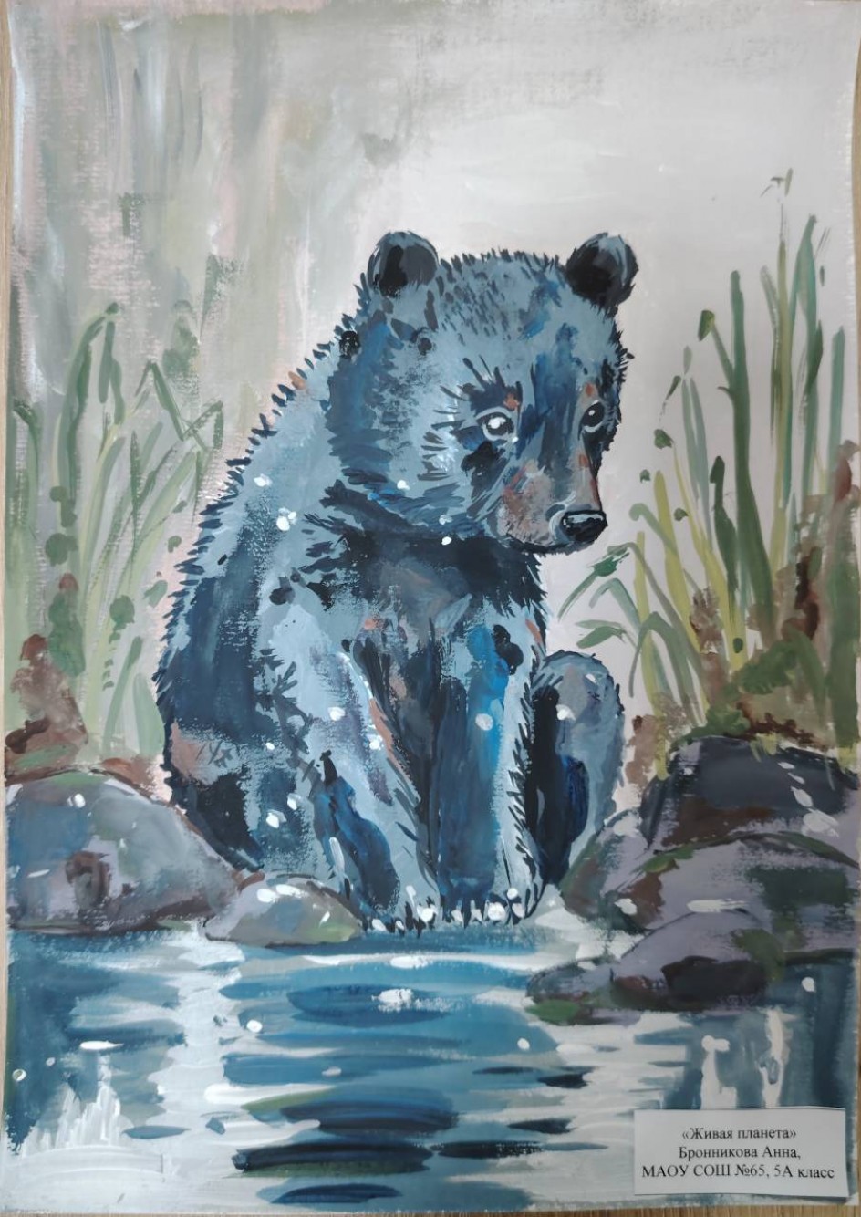 Медведь у реки