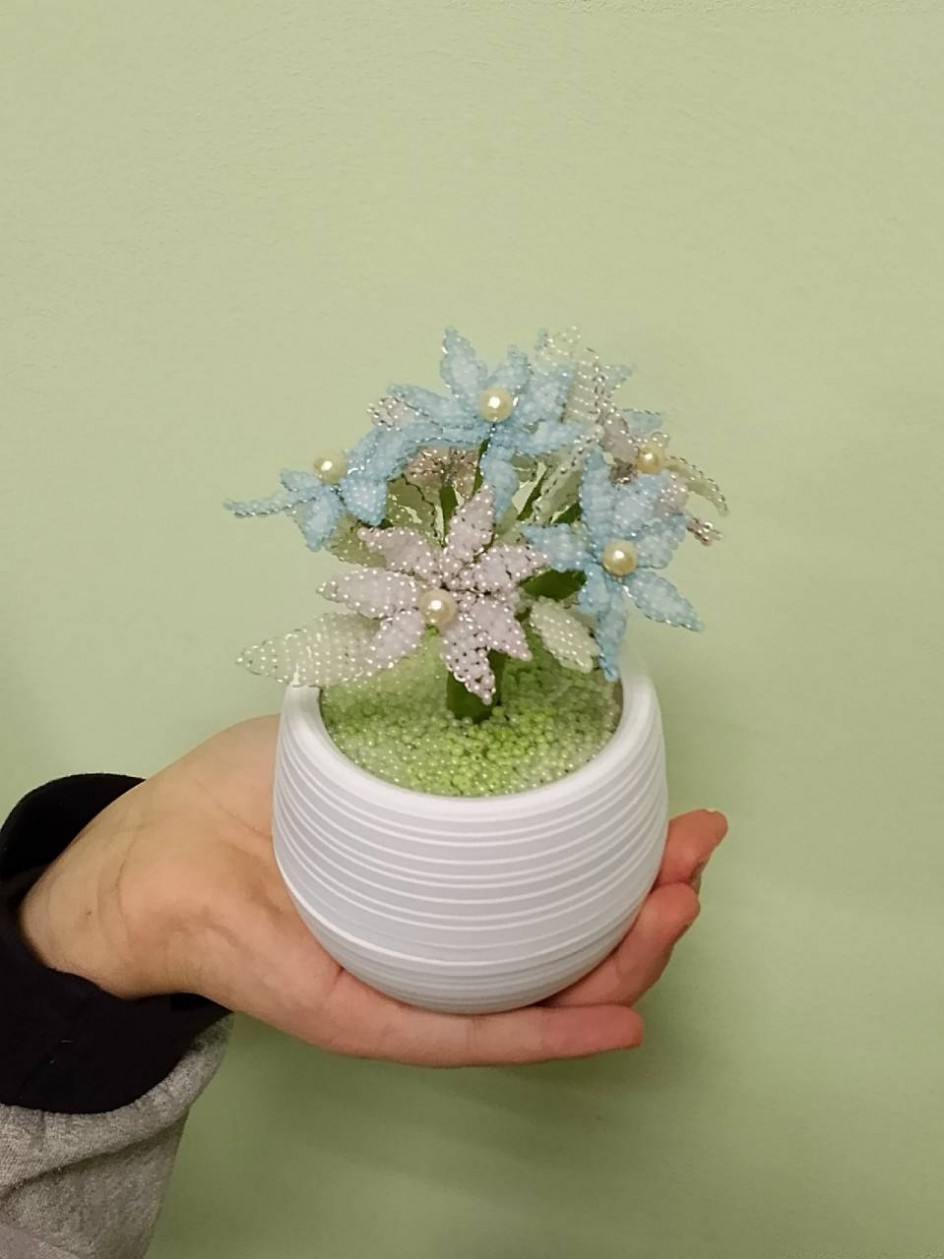 Цветы для мамы