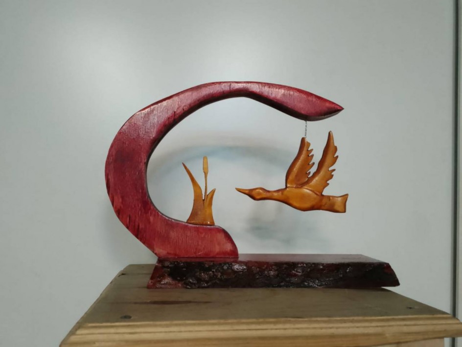 "Возвращение домой"