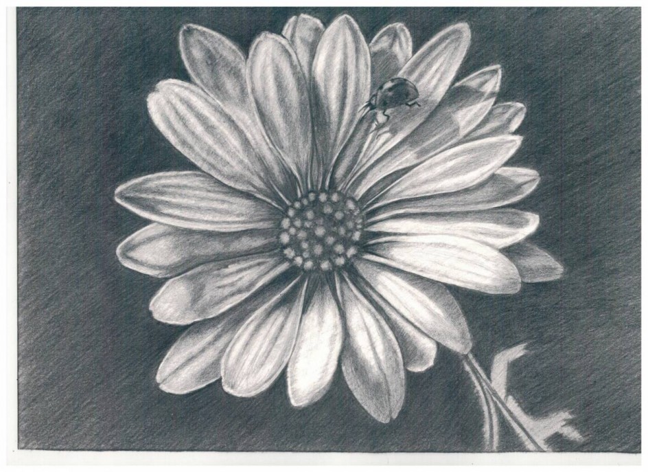 "Букашка на ромашке"