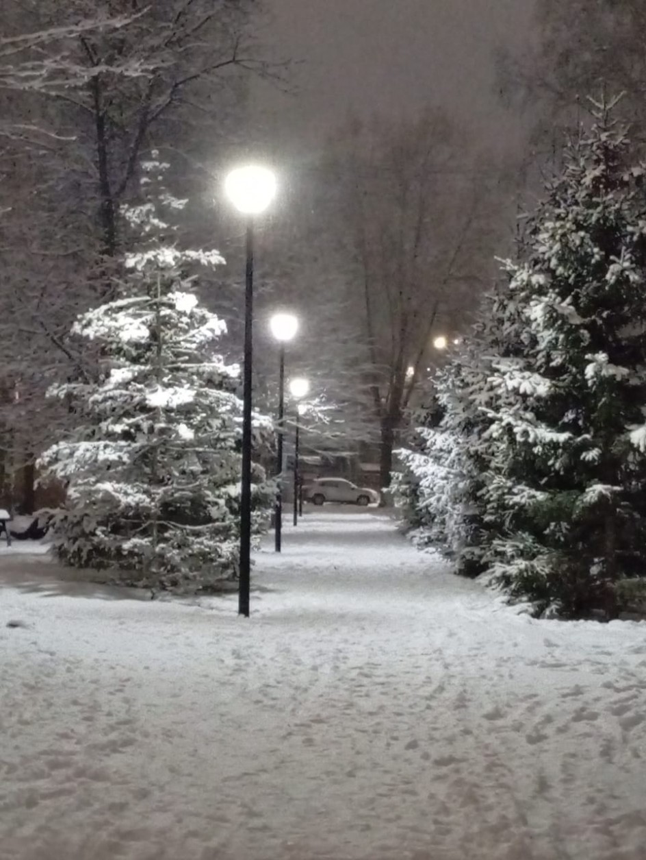 Зима в родном городе