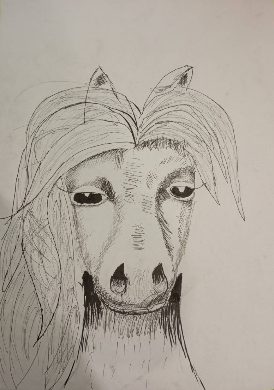 Пони "Снежинка"