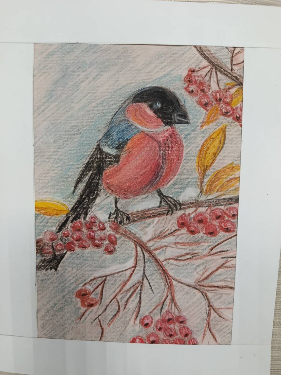 Весёлый снегирь