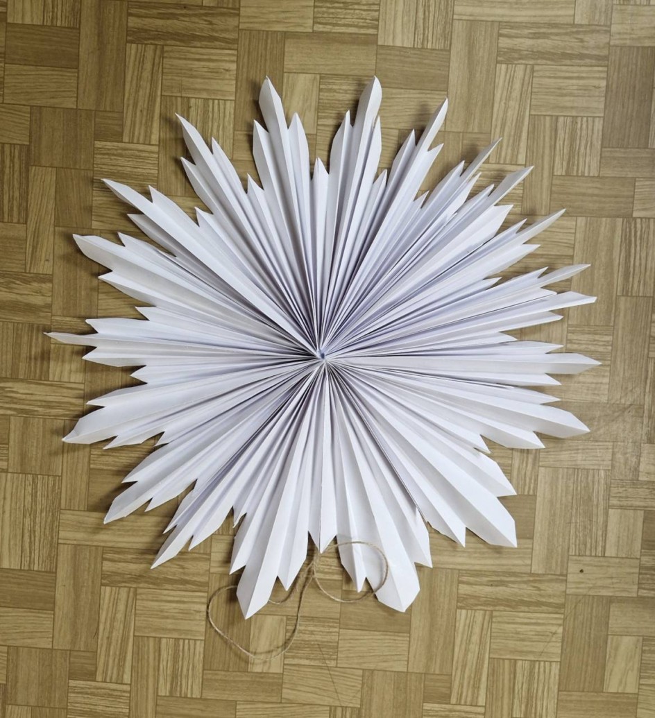 Первая снежинка