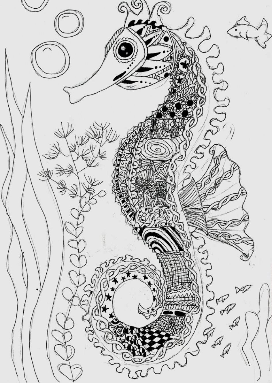 "Морской конек"