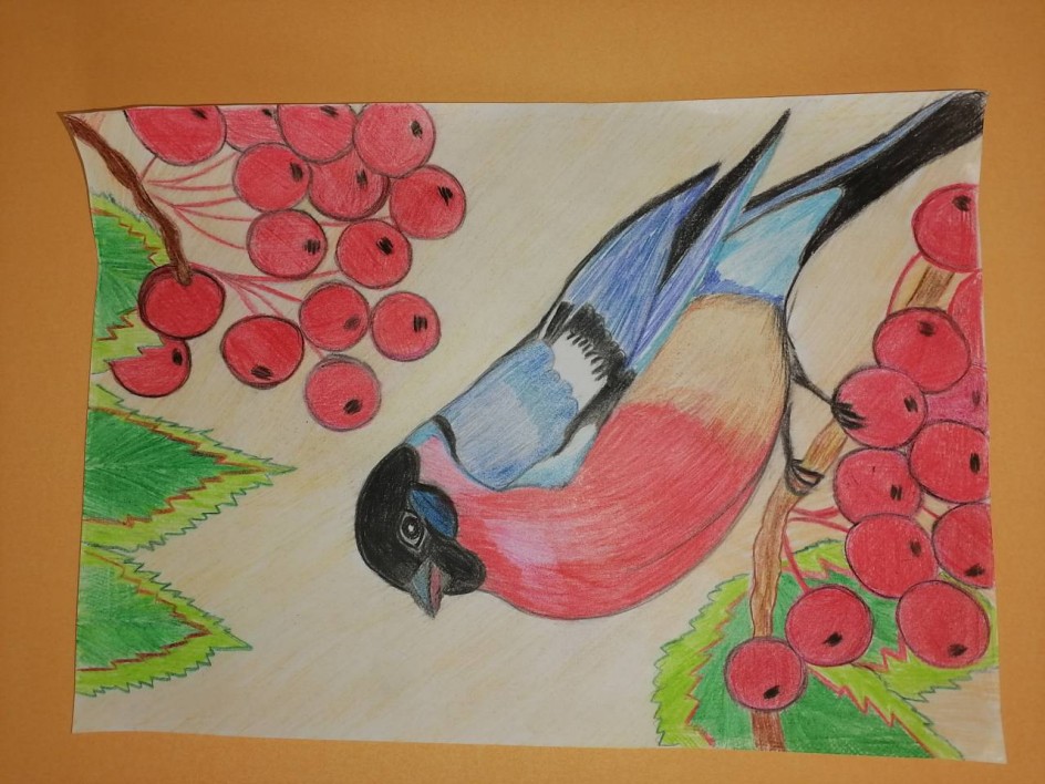 Снегирь на ветке рябины