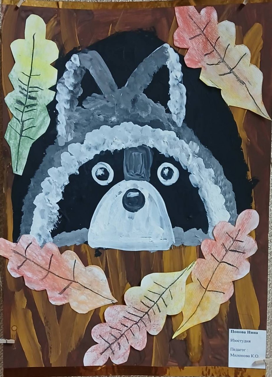 Енот в дупле. Осень