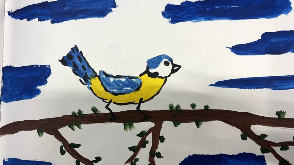 Синица в природе